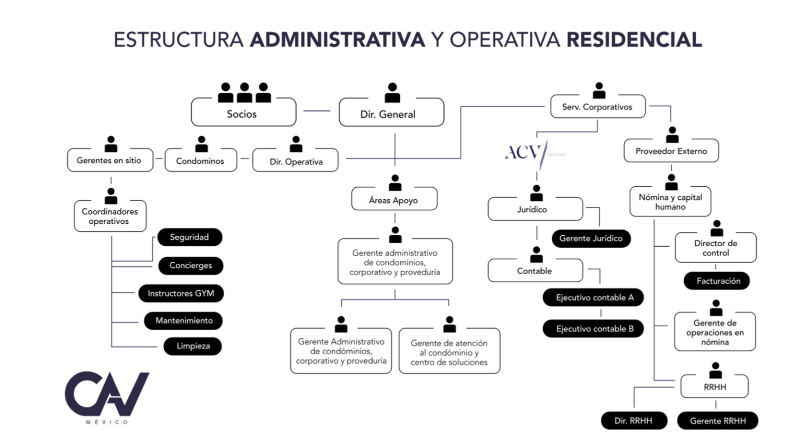 Estructura organizacional de Cav México